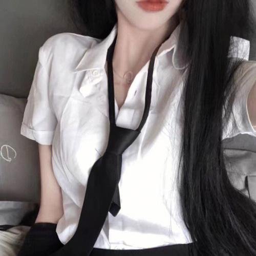 小迪克西